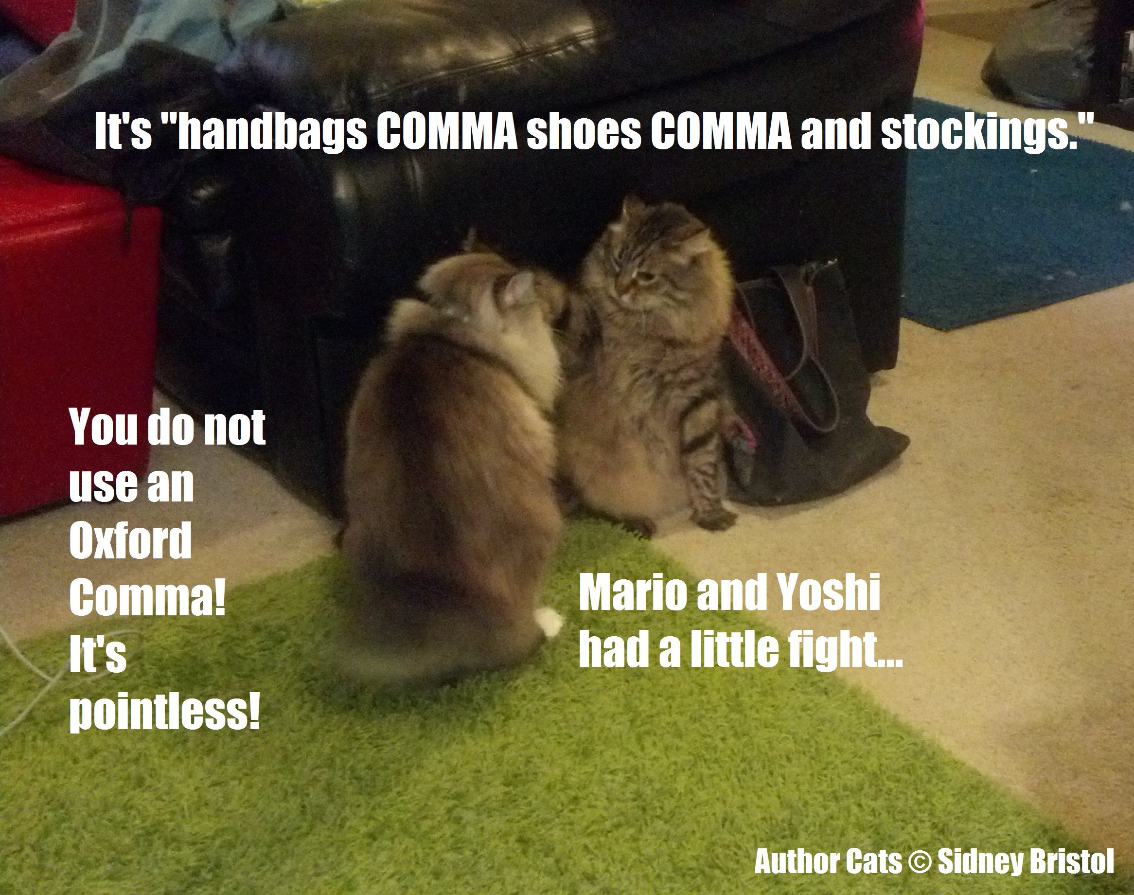 Author Cats 01 Oxford Comma