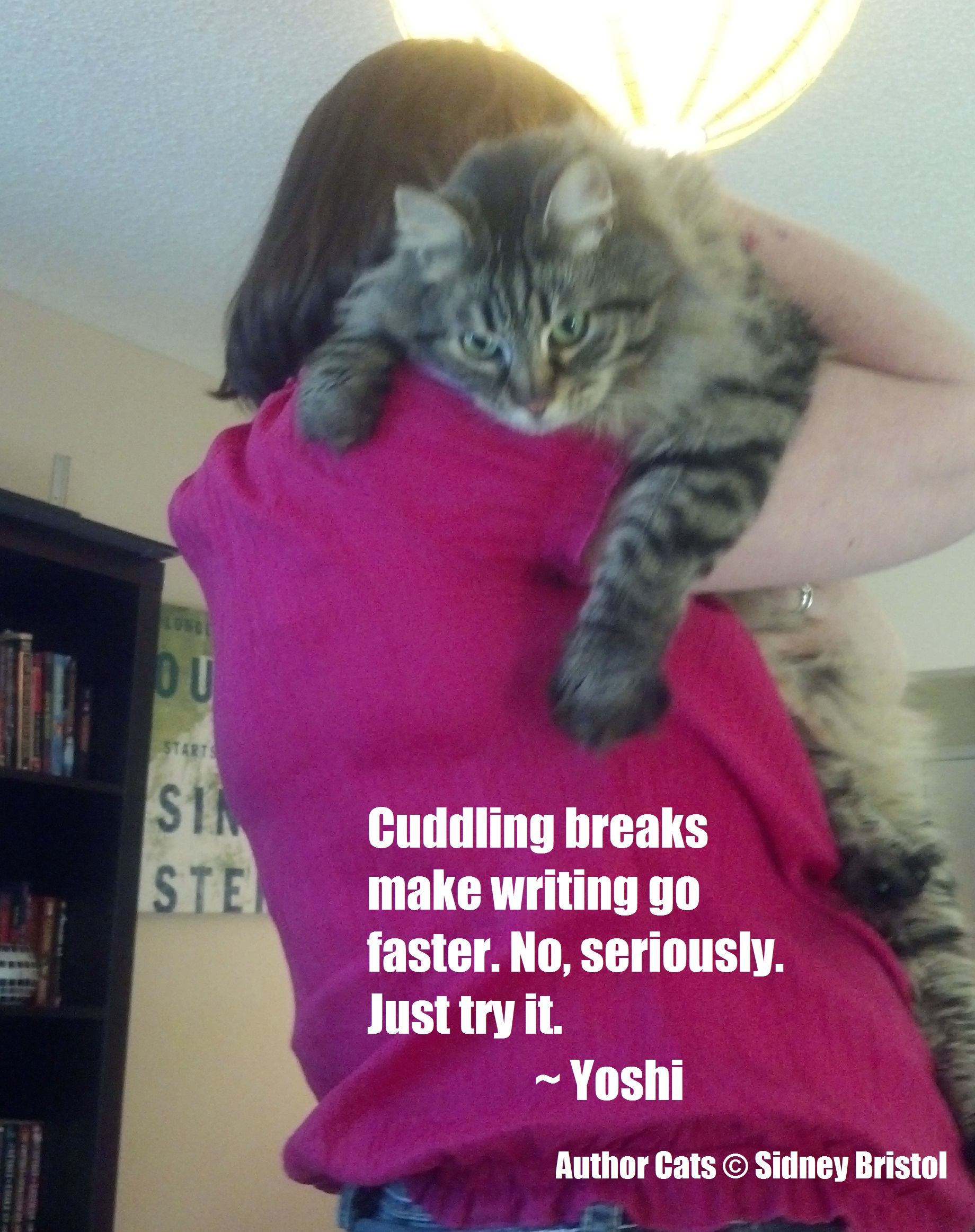 Author Cats 02 Cuddle Breaks